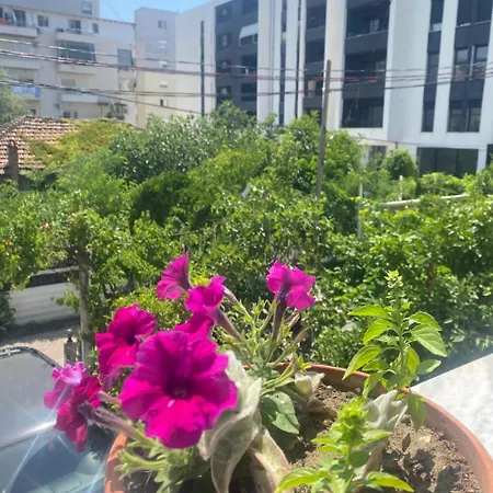 Pensjonat Bella Durrës