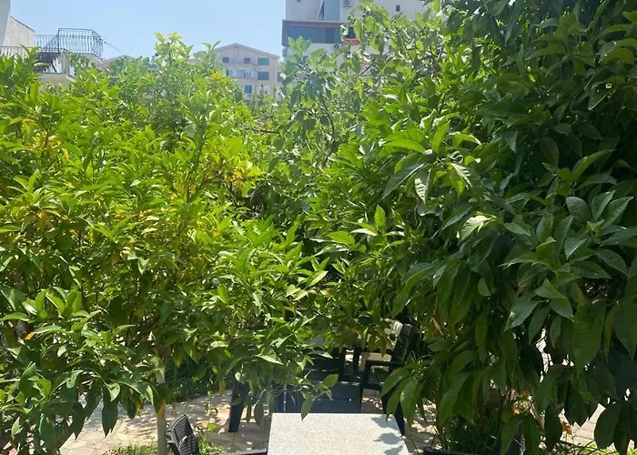 Гостевой дом Bella